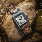 FREDERIQUE CONSTANT(フレデリック・コンスタント)
