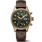 IWC(アイ・ダブリュー・シー)
