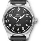 IWC(アイ・ダブリュー・シー)
