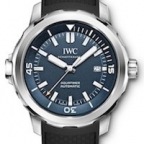 IWC(アイ・ダブリュー・シー)

