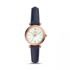 FOSSIL(フォッシル)
