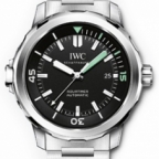 IWC(アイ・ダブリュー・シー)
