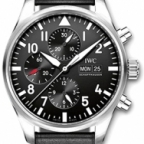 IWC(アイ・ダブリュー・シー)
