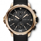 IWC(アイ・ダブリュー・シー)
