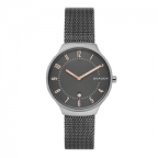 スカーゲン Skagen ブランド腕時計の正規販売店紹介サイトgressive グレッシブ スカーゲン Skagen ブランド腕時計の正規販売店紹介サイトgressive グレッシブ