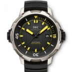 IWC(アイ・ダブリュー・シー)
