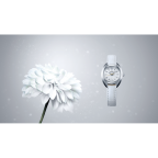 Grand Seiko(グランドセイコー)
