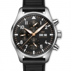IWC(アイ・ダブリュー・シー)
