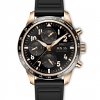 IWC(アイ・ダブリュー・シー)
