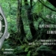 セイコーフェア開催