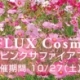 *AFFLUX Cosmos Fair*