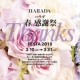 3月10日～31日 春の感謝祭 開催！