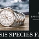 BASISSPECIES FAIR 7月4日(土)～7月26日(日)