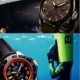 開催中｜BASIS SPECIES FAIR  2012 