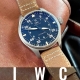 HASSINブログ【IWC】アイ・ダブリュー・シー／IW329701