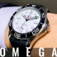 HASSINブログ【OMEGA】オメガ／210.32.42.20.04.001