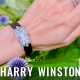 HASSIN ブログ【HARRYWINSTON】ハリーウィンストン／AVCQHM16WW024