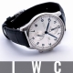 HASSINブログ【IWC】アイ・ダブリュー・シー／IW371605