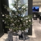 A.ランゲ＆ゾーネ銀座　12月25日は営業いたします