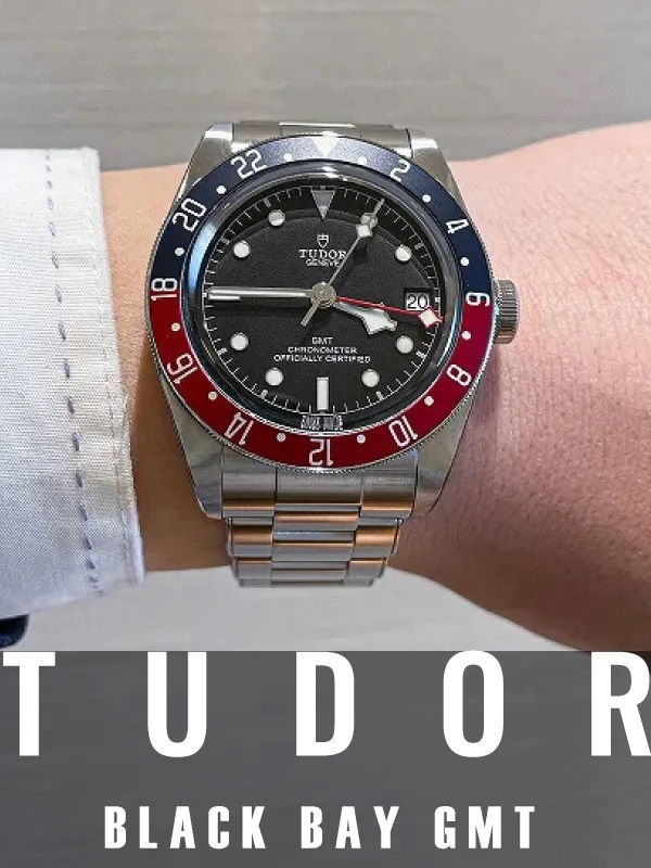 HASSINブログ【TUDOR】チューダー/79830RB