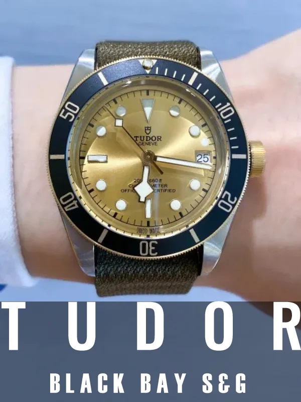 HASSINブログ【TUDOR】チューダー/79733N