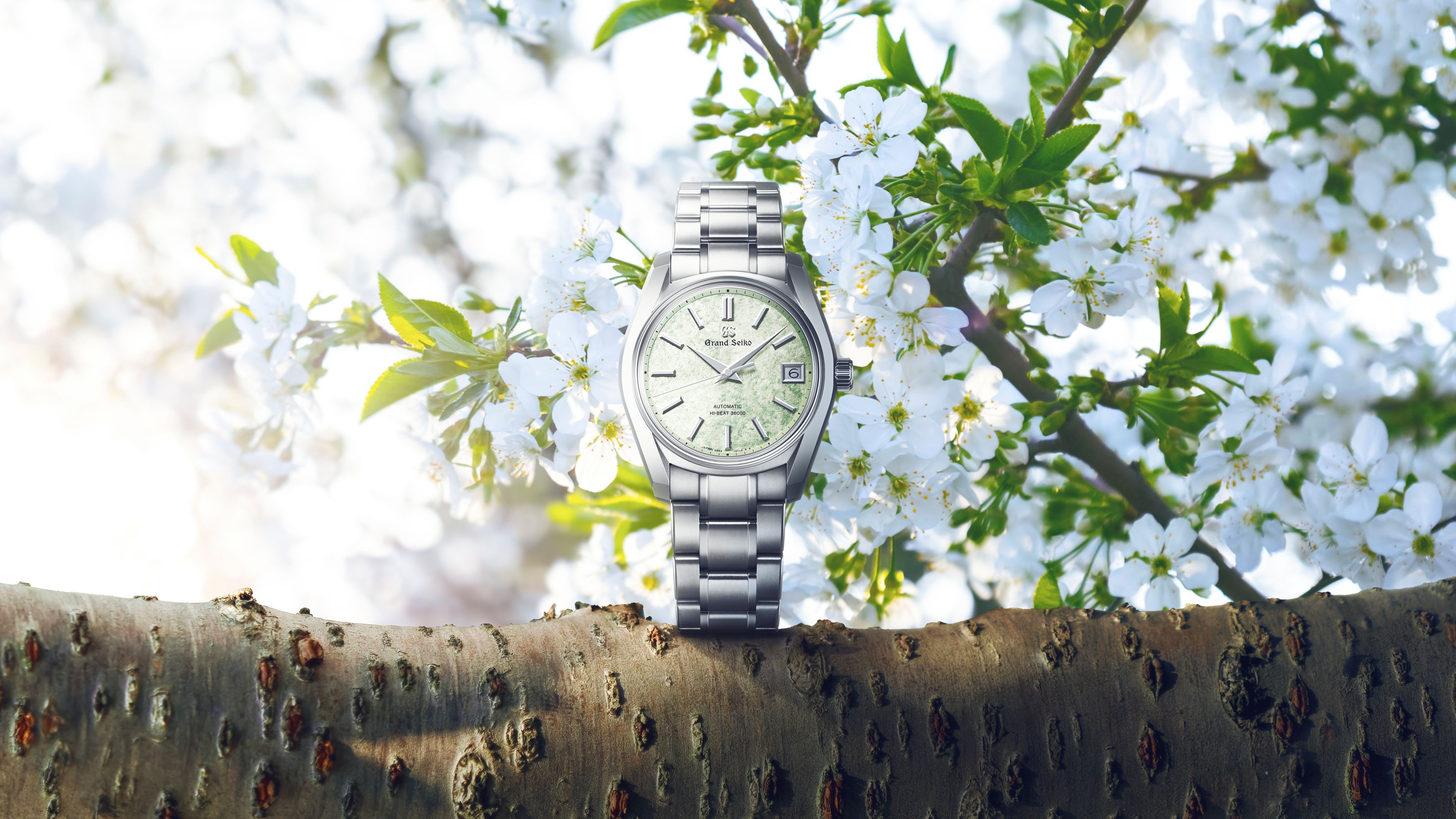 【グランドセイコー 】　フェアのご案内