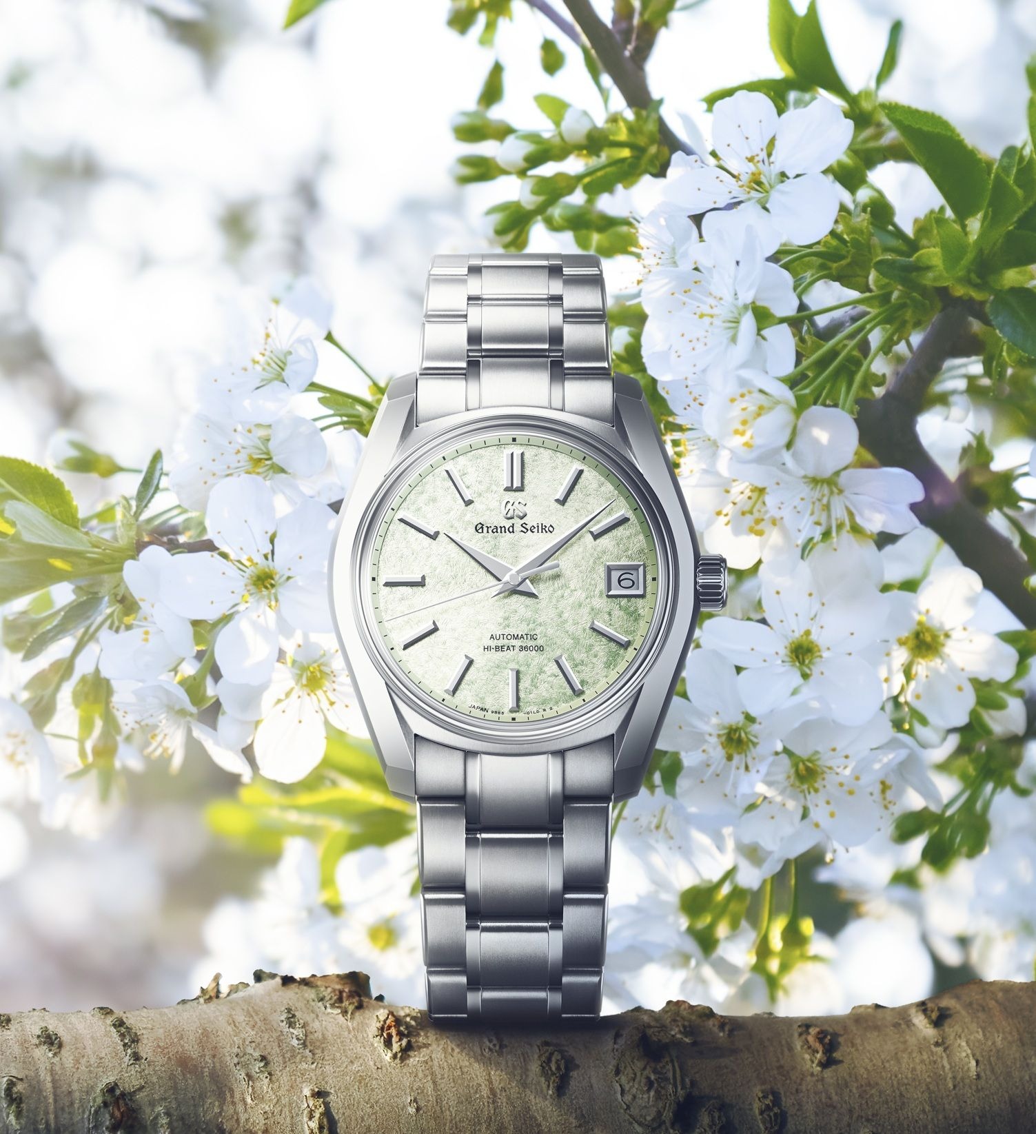 𖥧 𖥧 𖧧┈ゴールデンウィークフェア開催┈𖡼.𖤣𖥧 ⠜