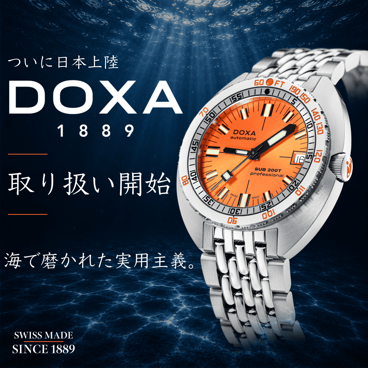 DOXA 展開開始！