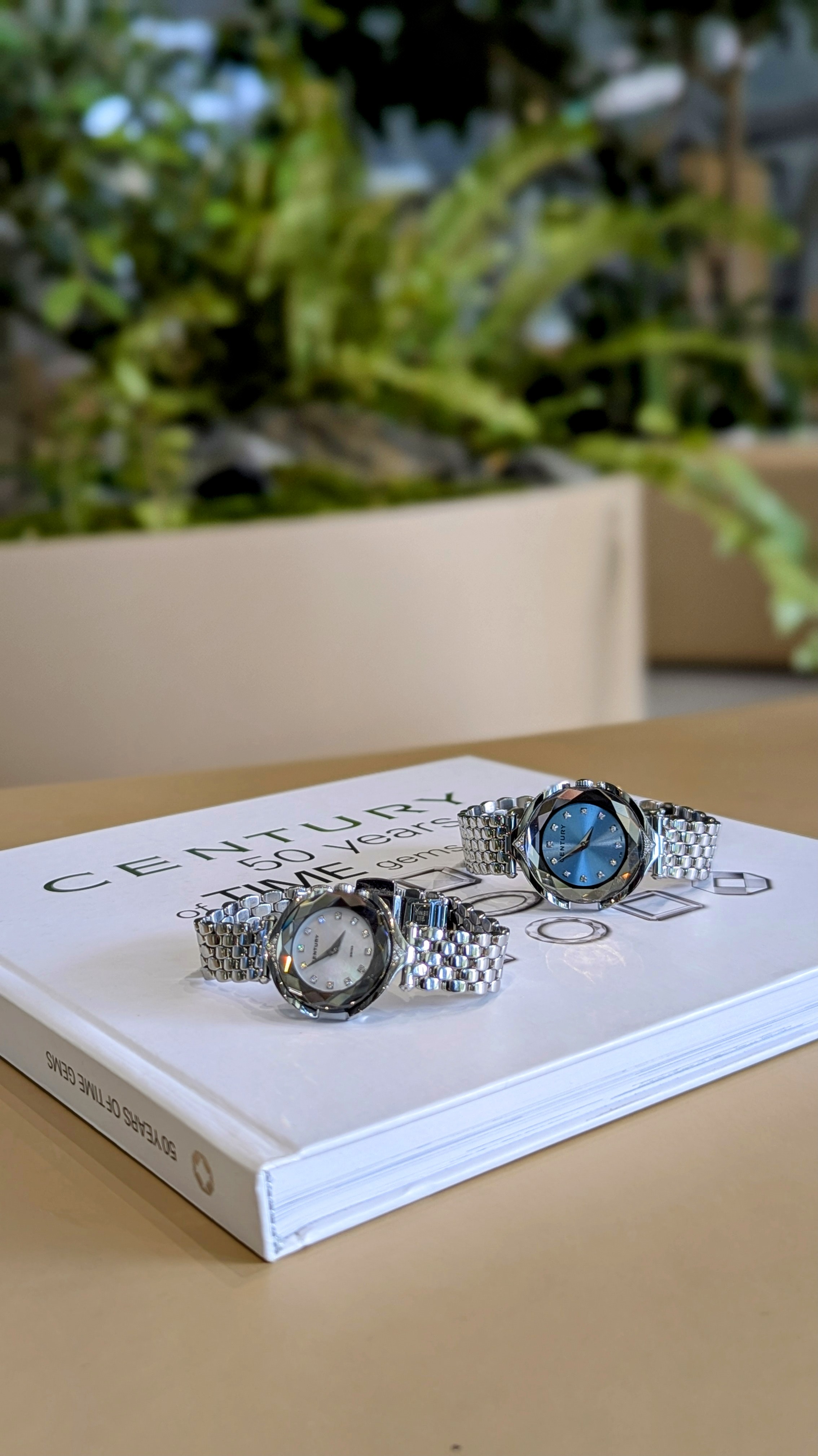 センチュリーフェア