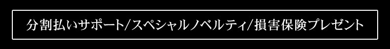 分割払いサポート/スペシャルノベルティ/損害保険プレゼント