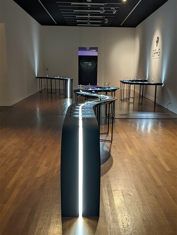 照明を落とし鑑賞用スペースを十分に取った間取りは、欧米の美術館ではよく見られる展示方法