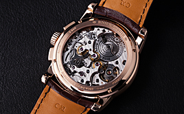 ROGER DUBUIS(WFEfuC)